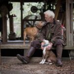 seguros para mascotas