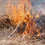 catástrofes naturales